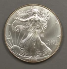 1996 American Silver Eagle $1 Coin - BU - Rim Toning