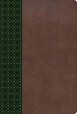 RVR 1960 BIBLIA DE ESTUDIO SCOFIELD, VERDE OSCURO/CASTAO SMIL PIEL (SPANISH E...