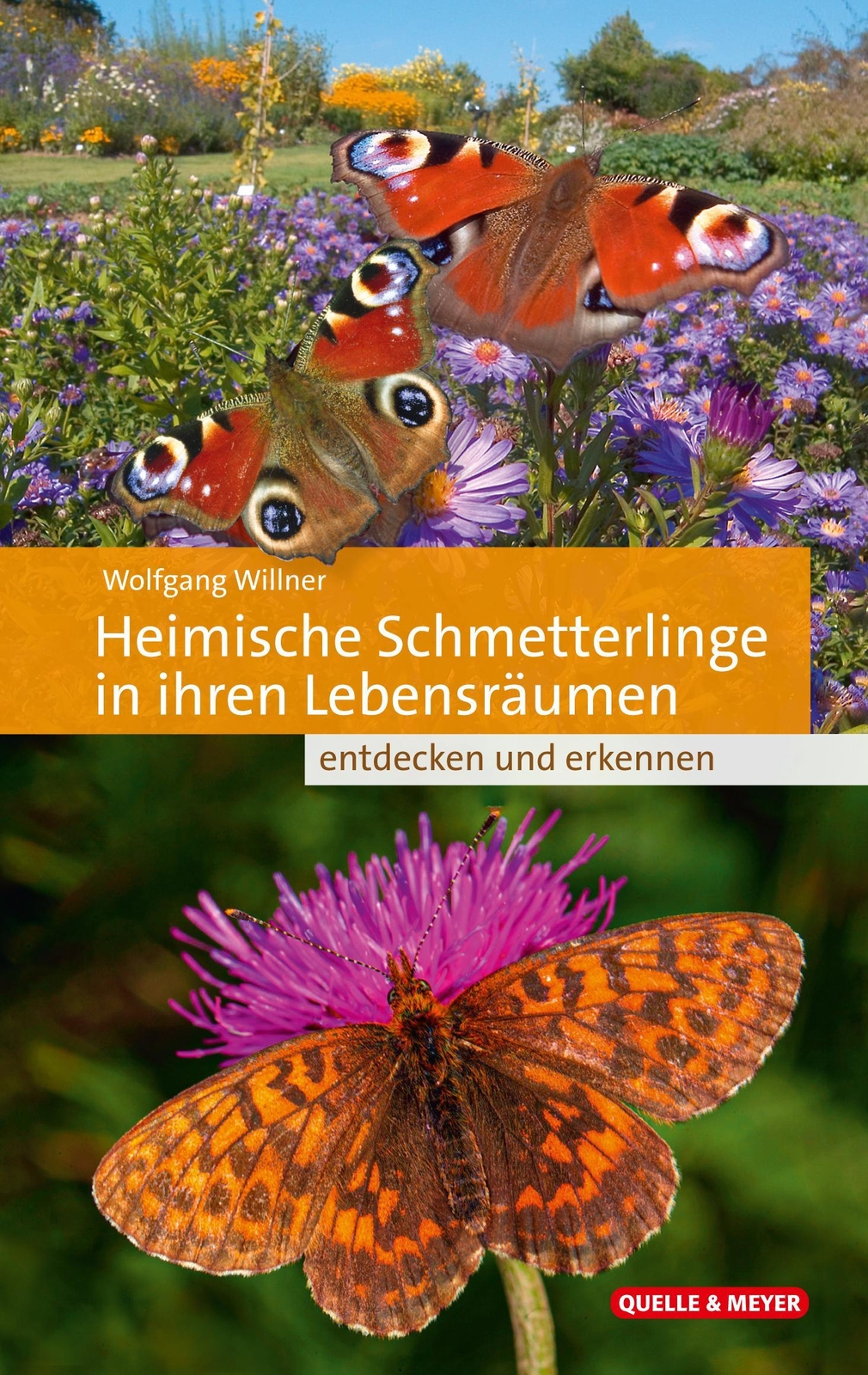Thumbnail - Heimische Schmetterlinge In Ihren Lebensräumen, Wolfgang Willner