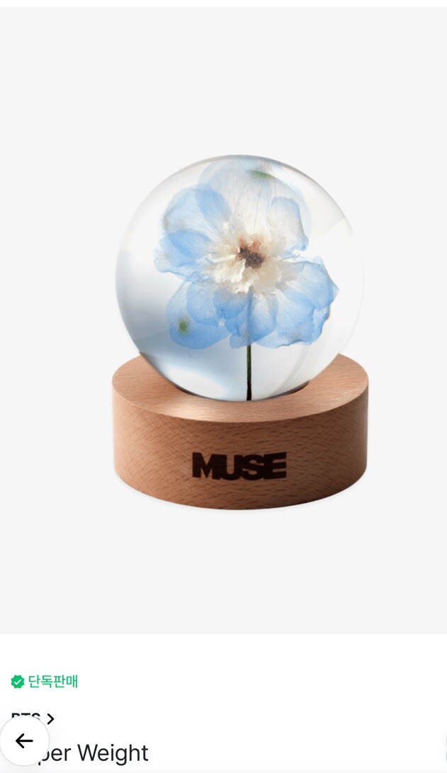 BTS ジミン MUSE PAPER WEIGHT s-l1200.jpg