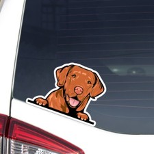 Red Labrador Car Sticker Peeking Realistic Dog Head Face Decal Bumper Window