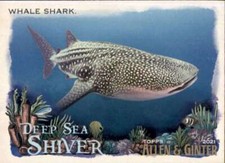 WHALE SHARK 2021 Allen and Ginter Deep Sea Shiver #DSS-9 MLB  ID:79894