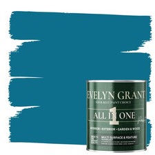 Evelyn Grant All-IN-ONE Paint & Primer Multi-Surface Paint Interior And Exterior