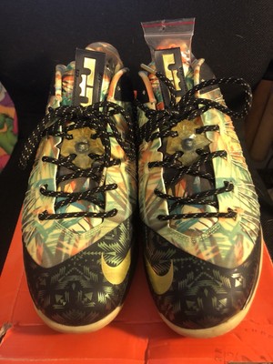 Nike Lebron 10 X low Championship pack 