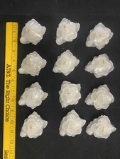 12 X White Rose Floating Paraffin  Wax  Candle 2"x 3"Wide  x 1.5" Tall