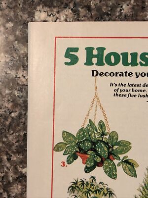 1976 Canyon House PRINT AD 5 House Plants For $1 VTG 1970s Mail Order Ad |  eBay