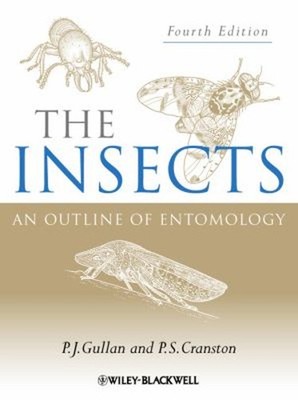 The Insects : An Outline of Entomology Hardcover P. J., Cranston,