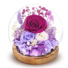 Preserved Flowers Roses in Glass Dome, Forever Flowers for Delivery Prime, Etern