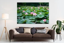 Pink Lotus Flowers Pond Nature Wall Art Canvas Unframed Print Art