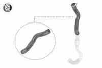 Vaico Ladeluftschlauch Schlauch Turbolader Q+, ErstausrüSterqualitäT V21-0025