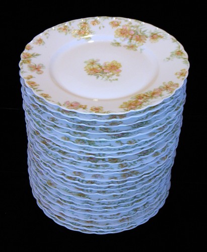 Rare Antique Haviland Limoges, France The Countess Schleiger #69 Fine Dinnerware - Picture 37 of 329
