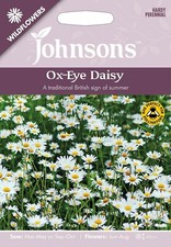 Ox-Eye Daisy Seeds Wildflowers by Johnsons FREE UK DELIVERY