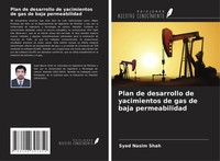 Syed Nasim Shah | Plan De Desarrollo De Yacimientos De Gas De Baja Permeabilidad