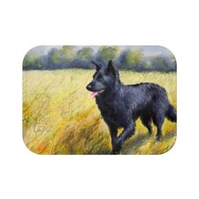 Mudi Bathroom Rug Mat -