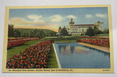 Vintage Linen Postcard  ~ Municipal Rose Garden View~ Harrisburg Pennsylvania PA