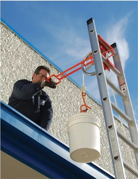 Ladder hoist online
