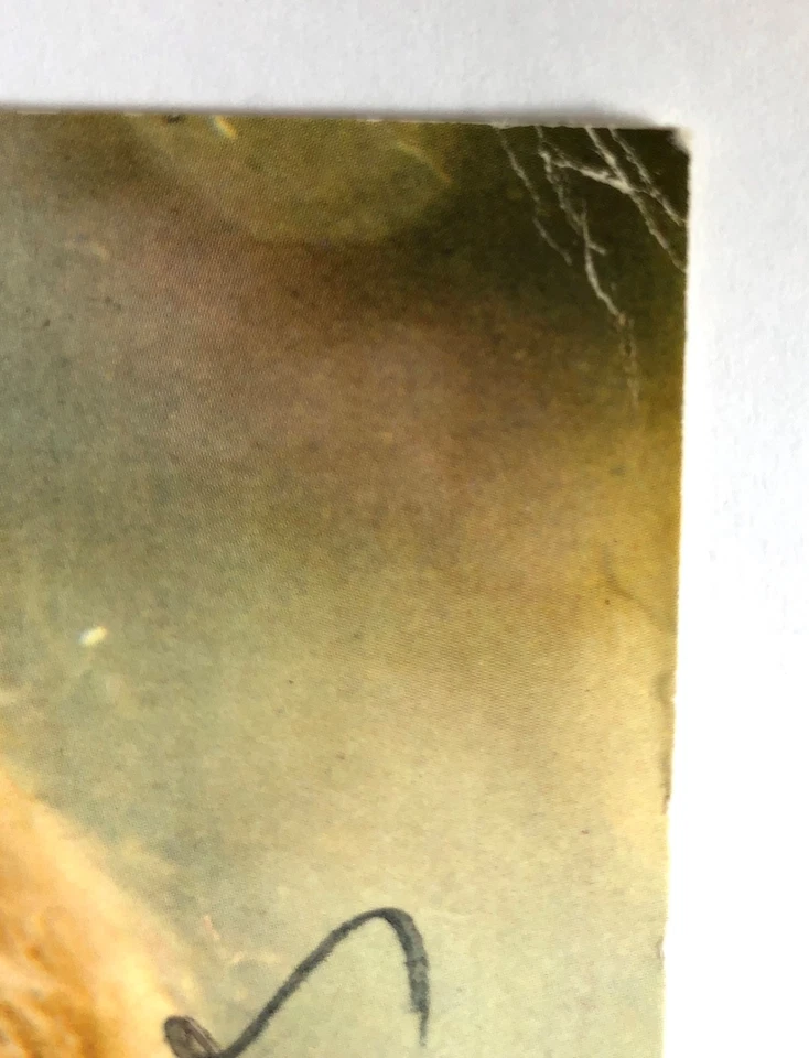 JOHNNY HALLYDAY - AUTOGRAPHE ORIGINAL SUR CARTE POSTALE  -  15 X 21 cm - 1966 - Photo 3/4