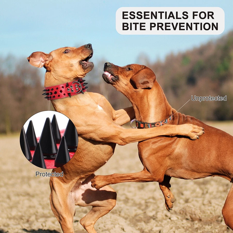 2inch Spiked Studded Dog Collar Adjustable for Pitbull Heavy Duty PU Leather ☋ - Image 2 of 4