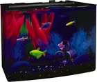 Crescent Aquarium Kit 3 Gallons, Includes Hidden Blue LED Light and Internal Fil