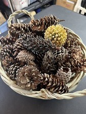 Pine Cone Filled Basket And 9 Fall Decor Items