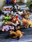 Vintage TY Teenie Beanie Babies Lot Of 23 Beanies Great Condition