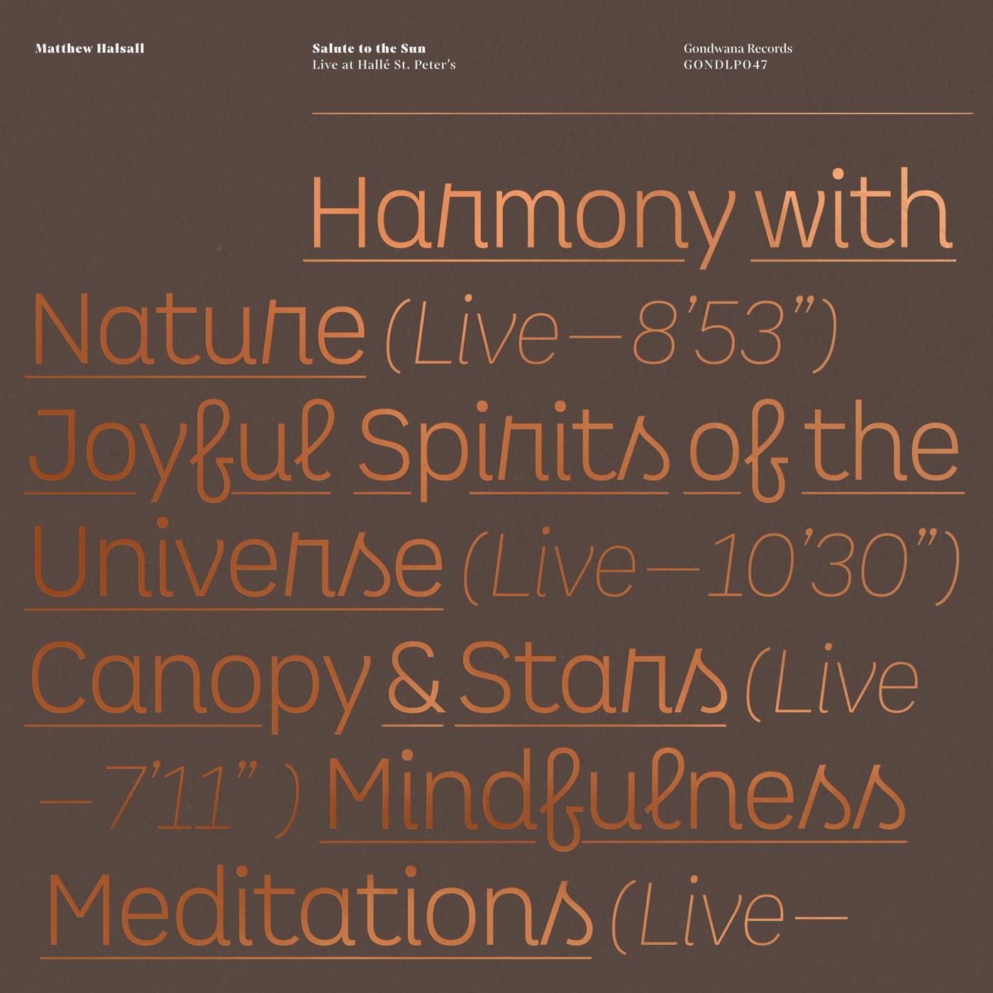 Мэтью Хэлсолл Приветствие солнцу: Концерт в Hallé St Peters (винил) (ИМПОРТ из Великобритании)