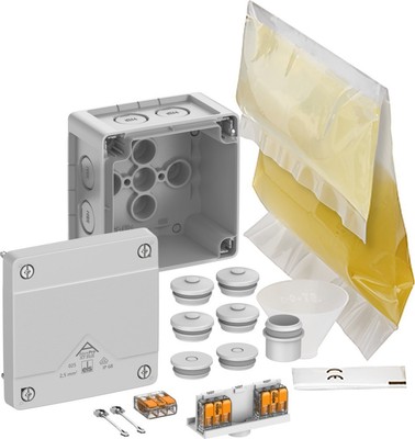 Spelsberg Abzweigkasten Abox Pro XT SLK-2,5² Wand 40246001 Abzweigkasten