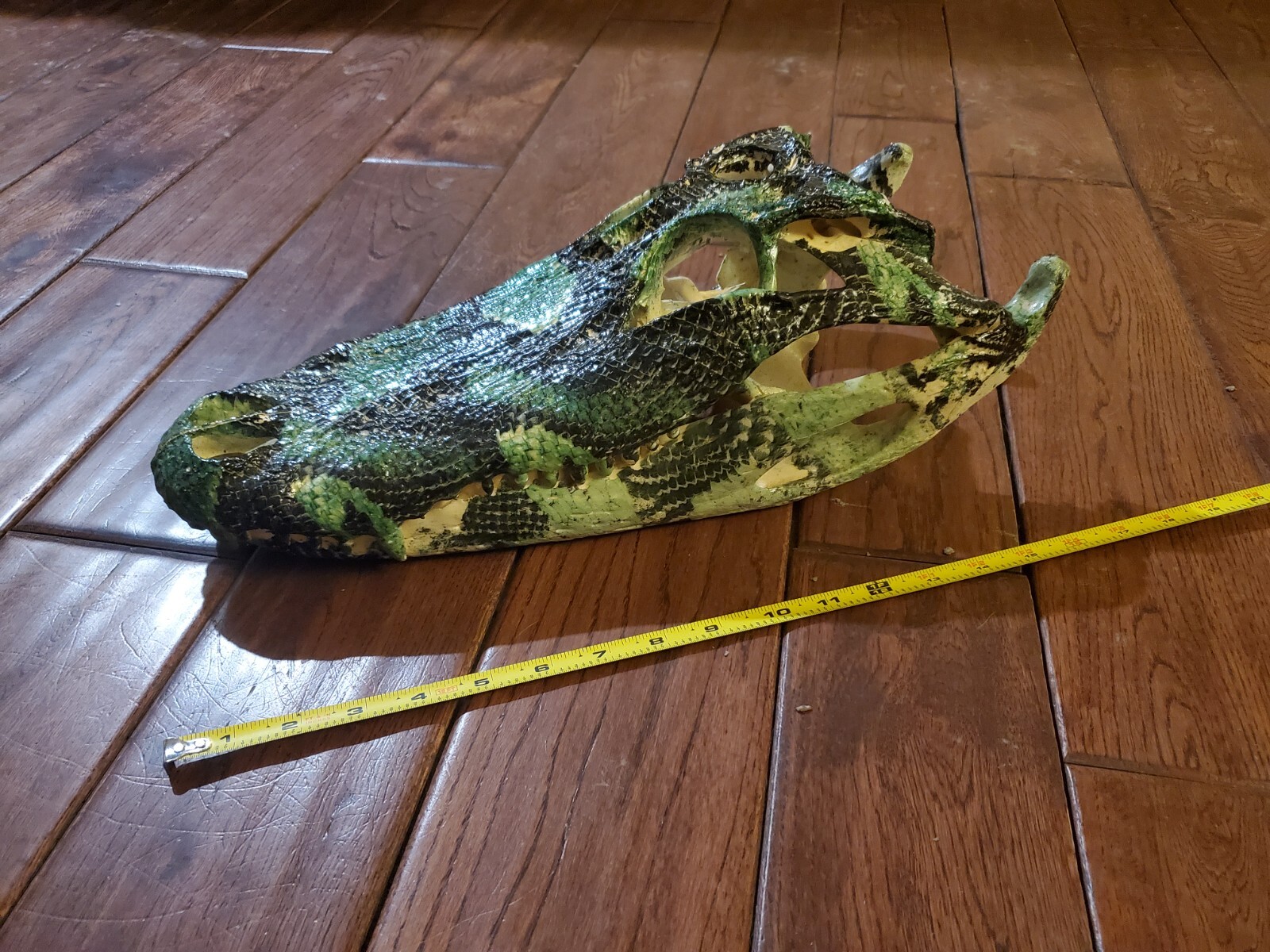 Alligator skull, hydro dipped, 9' gator, REAL, taxidermy, mounts eBay