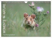 "Calendar 2027 · US Version · Moments In Nature (Wall Calendar 2027 12\" × 8\" Land"