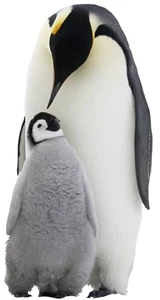 Penguin Self Adhesive Vinyl Sticker