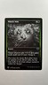 MTG Innistrad Double Feature Witch's Web #494 Magic the Gathering