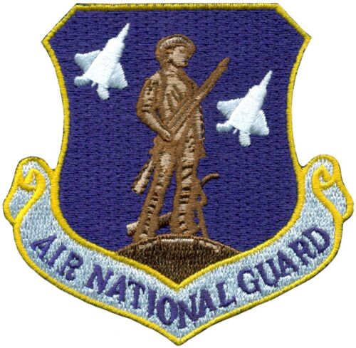 USAF AIR NATIONAL GUARD F-22 RAPTOR PATCH - Picture 1 of 1