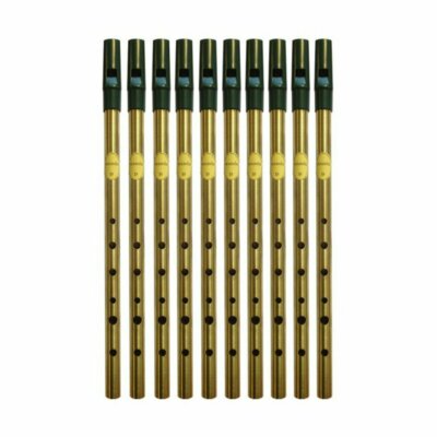 Tin Whistle Feadog Brass D Whistles, Green Top - BOX OF 10