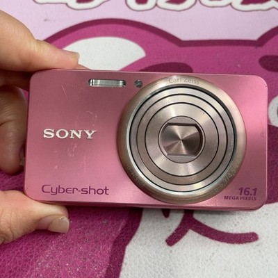 SONY Cyber-shot DSC-W570 16.1MP 5x Optical Zoom Digital Camera