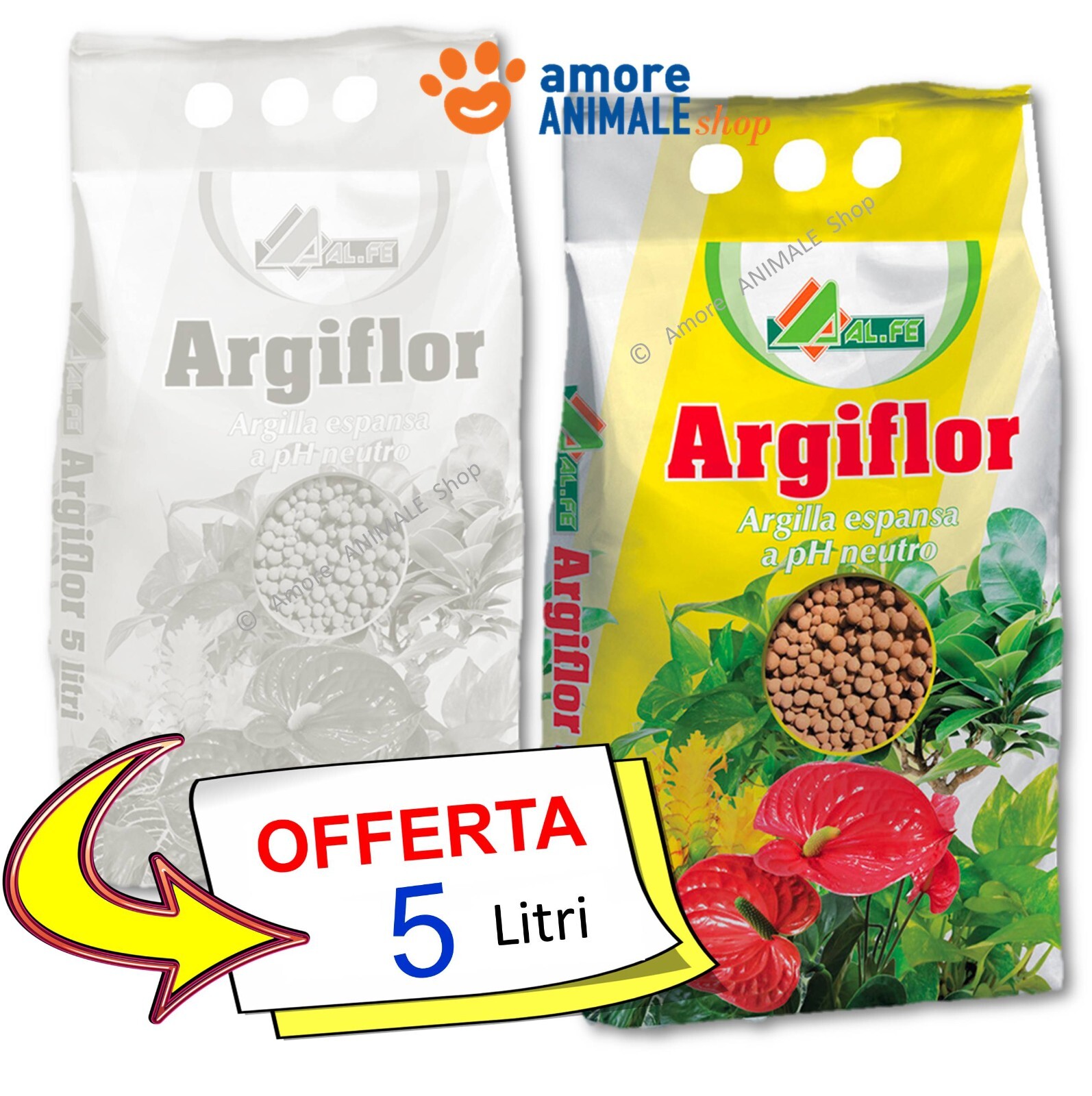 Foto 2 di 3
