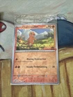 Sealed Pokémon Charmander GameStop Exclusive Promo Reverse Holo 004/165