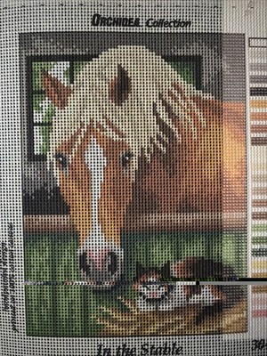 Printed needlepoint tapestry  canvas only 7x9.5  Inch Orchidea