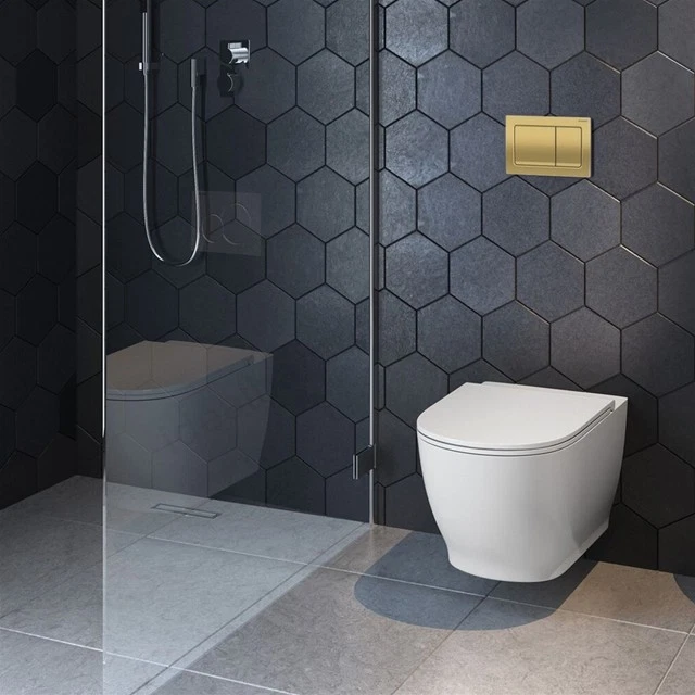 Anas Magda Rimless Pan With Geberit Duofix Alpha01 Wc Frame Brass Flush Plate 45 - Image 2 of 4