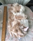Bild 3 von 5