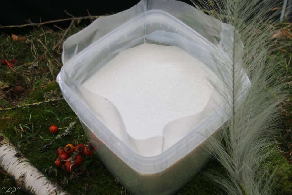 Anhaltiner Premium Rindertalg 4kg Eimer nicht gesalzen Energiequelle Wildvogel - Bild 3 von 4