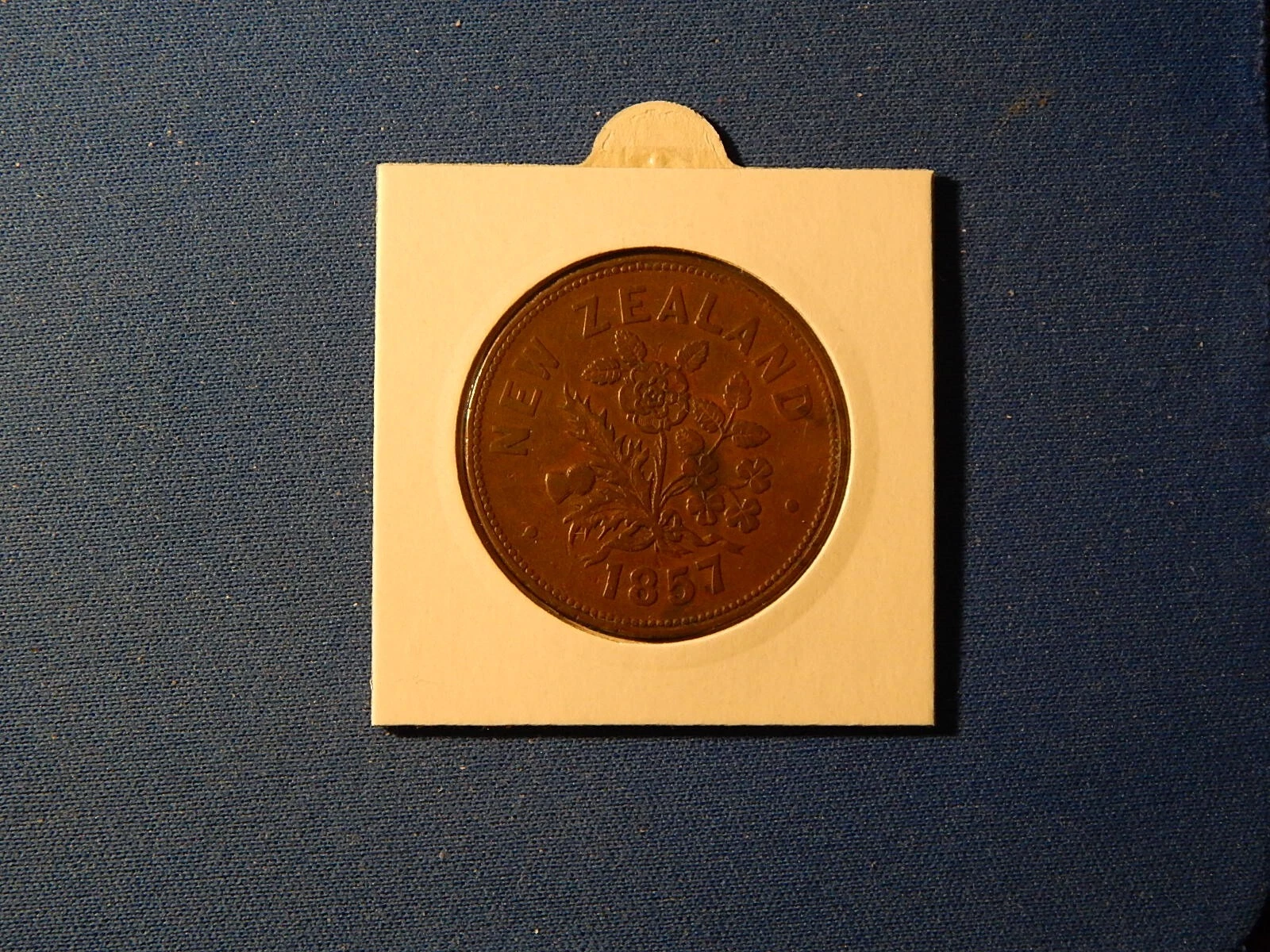 Picture 5 of 5