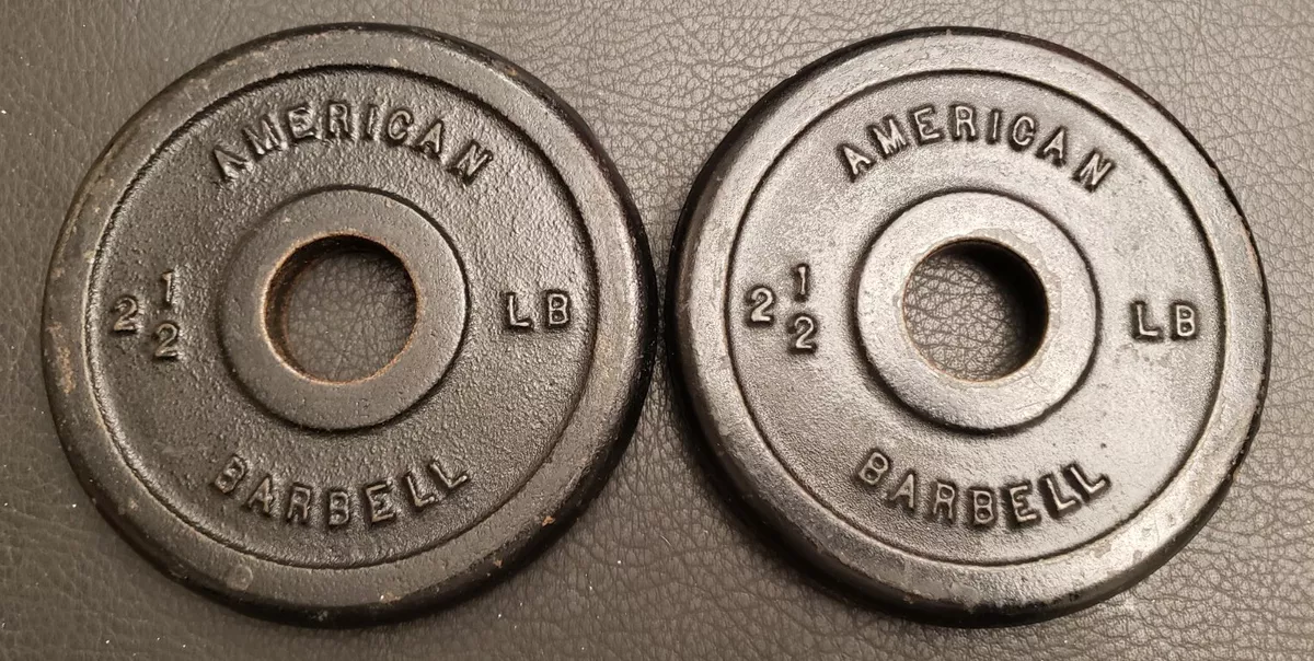 American Barbell Pair 2.5 Lb Weight Plates Standard Size Barbell