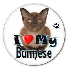  I LOVE MY BURMESE KITTEN CAT 3" SAFETY PIN BACK BUTTON