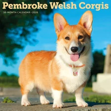 Carousel Calendars,  Pembroke Welsh Corgis 2026 Wall Calendar, 12'' X 12'', 16-M