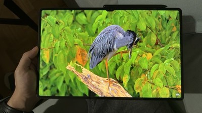 Samsung Galaxy Tab S8 Ultra 256GB SM-X900 WiFi Top Zustand 
