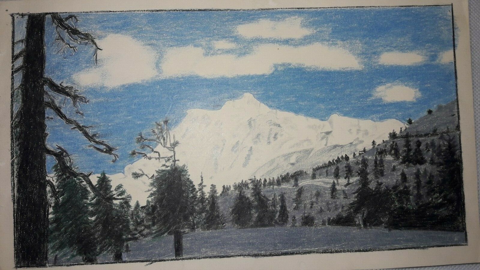 Picture 1 of 12