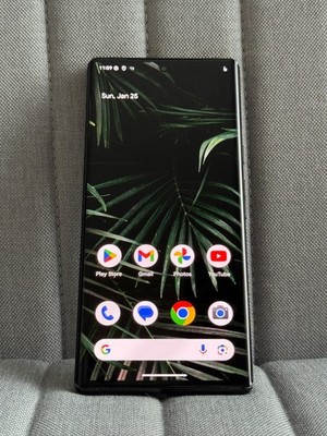 2021 Google Pixel 6 Pro - 128 GB Storage - Stormy Black (Unlocked