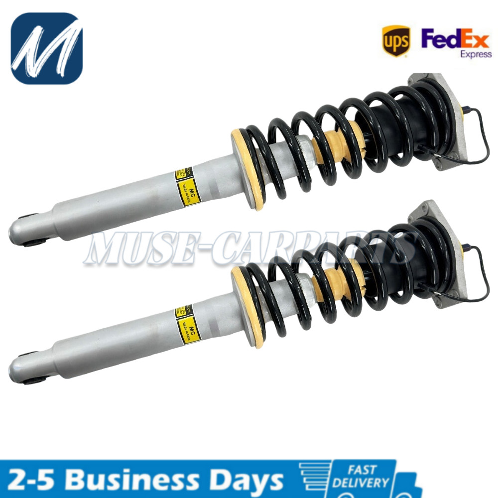 2X Rear Shock Struts Assys For Maserati Quattroporte M139 Sport Gt 06-13 226149