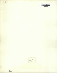 Press Photo Pirates baseball player Ralph Kiner at batting practice - nes45448