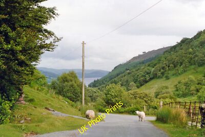 Photo 6x4 Dropping down to Pont Eunant and Llyn Efyrnwy, 1993 View east o c1993
